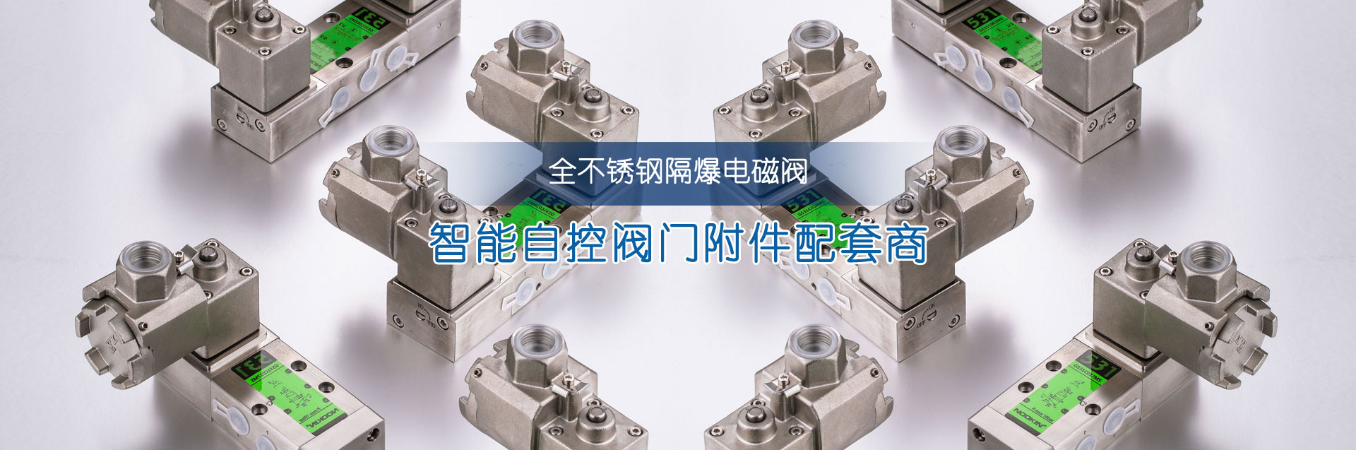 全不銹鋼隔爆電磁閥
